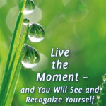 Excerpts of Live the Moment