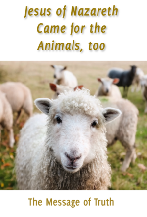 Jesus Came for the Animals, Too (PDF Download) [Digital]